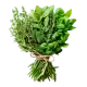 Aromatic herbs