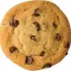 Dry biscuit