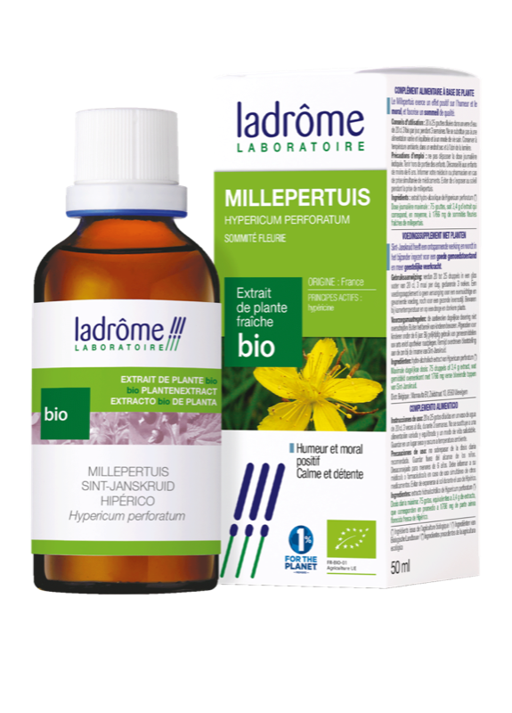 Extrait De Plante Fraiche Millepertuis