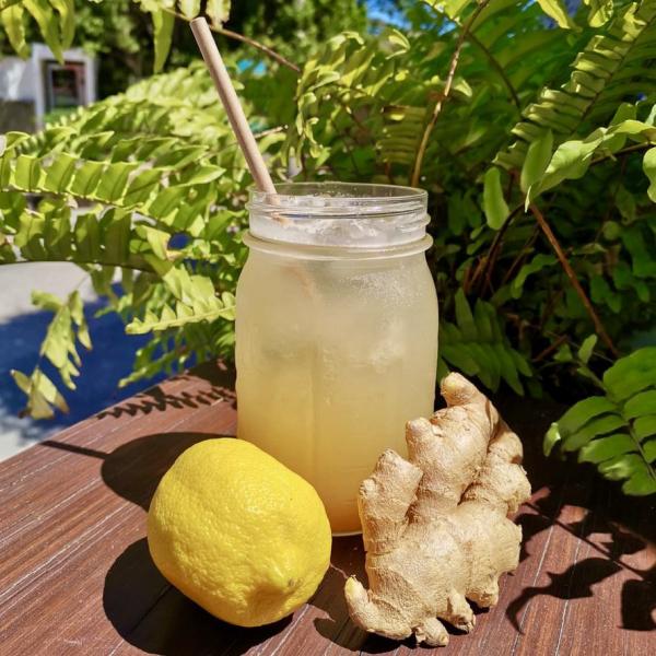 Fresh Ginger Lemonade (33cl) 