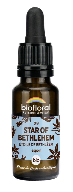 Fdb 29 star of bethlehem 20ml