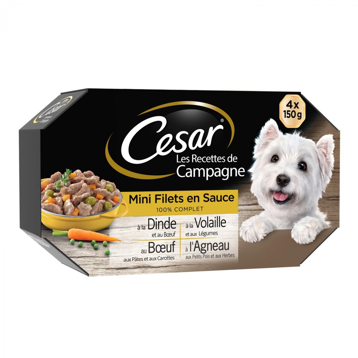 César Filet Sauce 150 g x 4