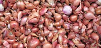 Shallot bulk 1 Kg