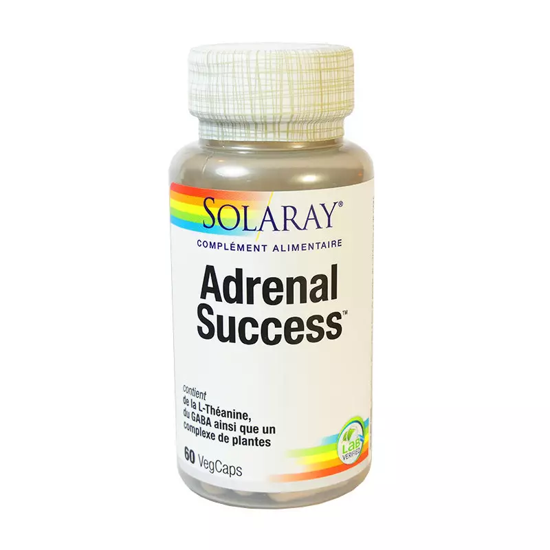 ADRENAL SUCCESS - 60 GEL