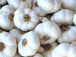 GARLIC - IMPORT KG