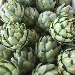 GREEN ARTICHOKE - KG 