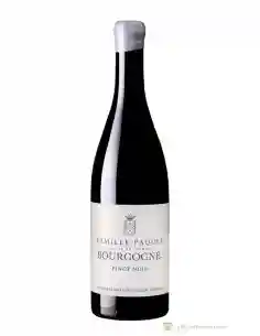 Bourgogne Pinot Noir - Famille Paquet - 2021