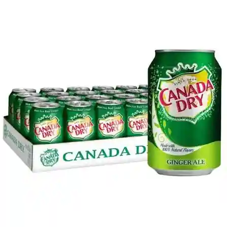 CANADA DRY GINGER ALE 4/6/10 OZ (24 units)