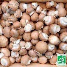 Brown Button Mushroom - Kg