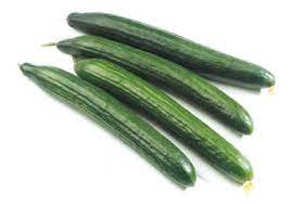 Cucumber - Organic - Kg