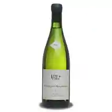 Chassagne Montrachet / Domaine Lamy Pillot 2022 75cl 