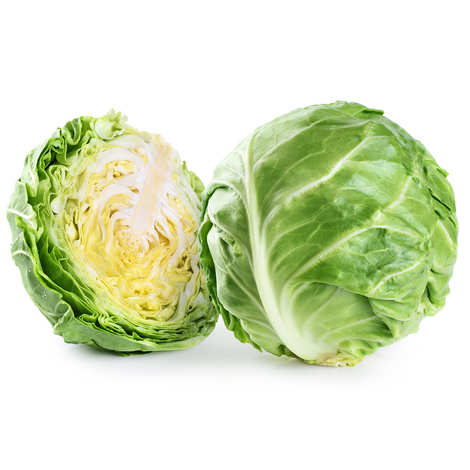 Smooth Green Cabbage - PCE   
