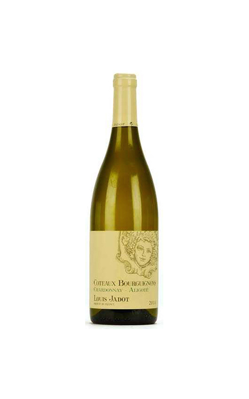 Coteaux Bourguignons Chardonnay 2019 (0.75L)   