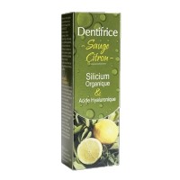 Solid Toothpaste - Lemon Sage - 17g 