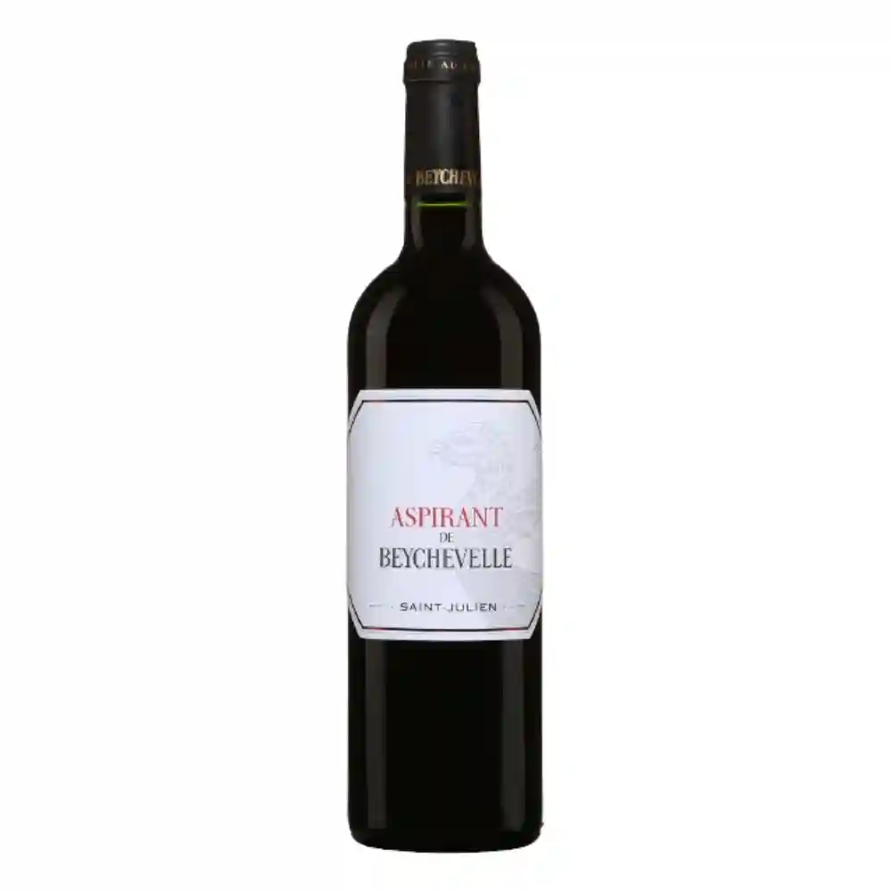 Aspirant de Beychevelle Saint Julien 2020 75 cl 