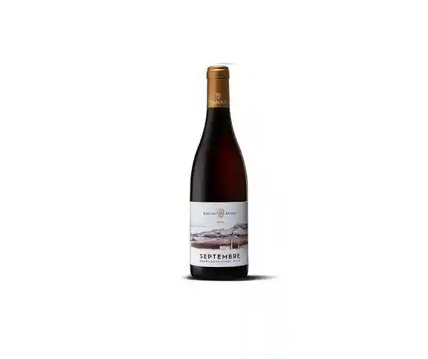 E. delaunay septembre bourgogne pinot noir 2021