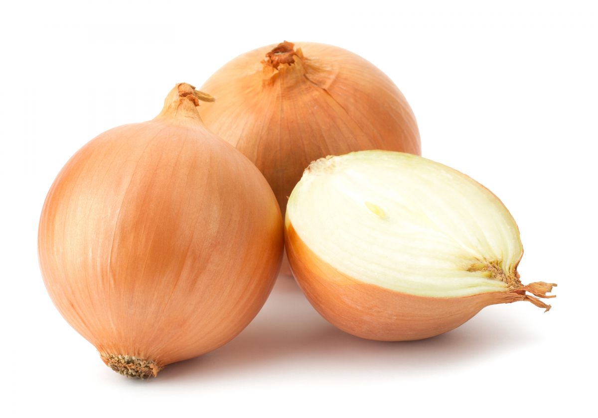 YELLOW ONION - KG