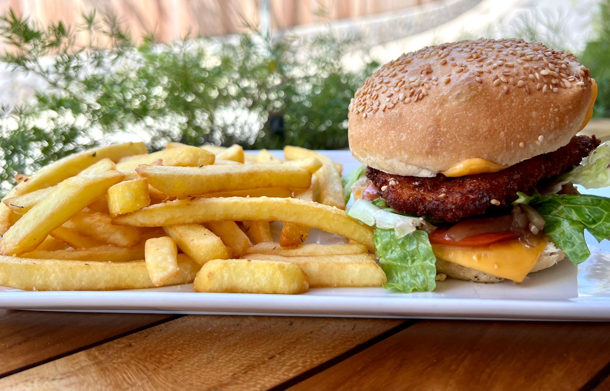 Chicken Burger, French fries