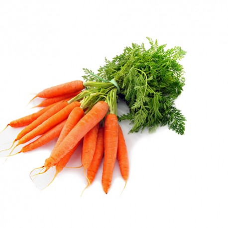 Carrot Bunch Pcs 