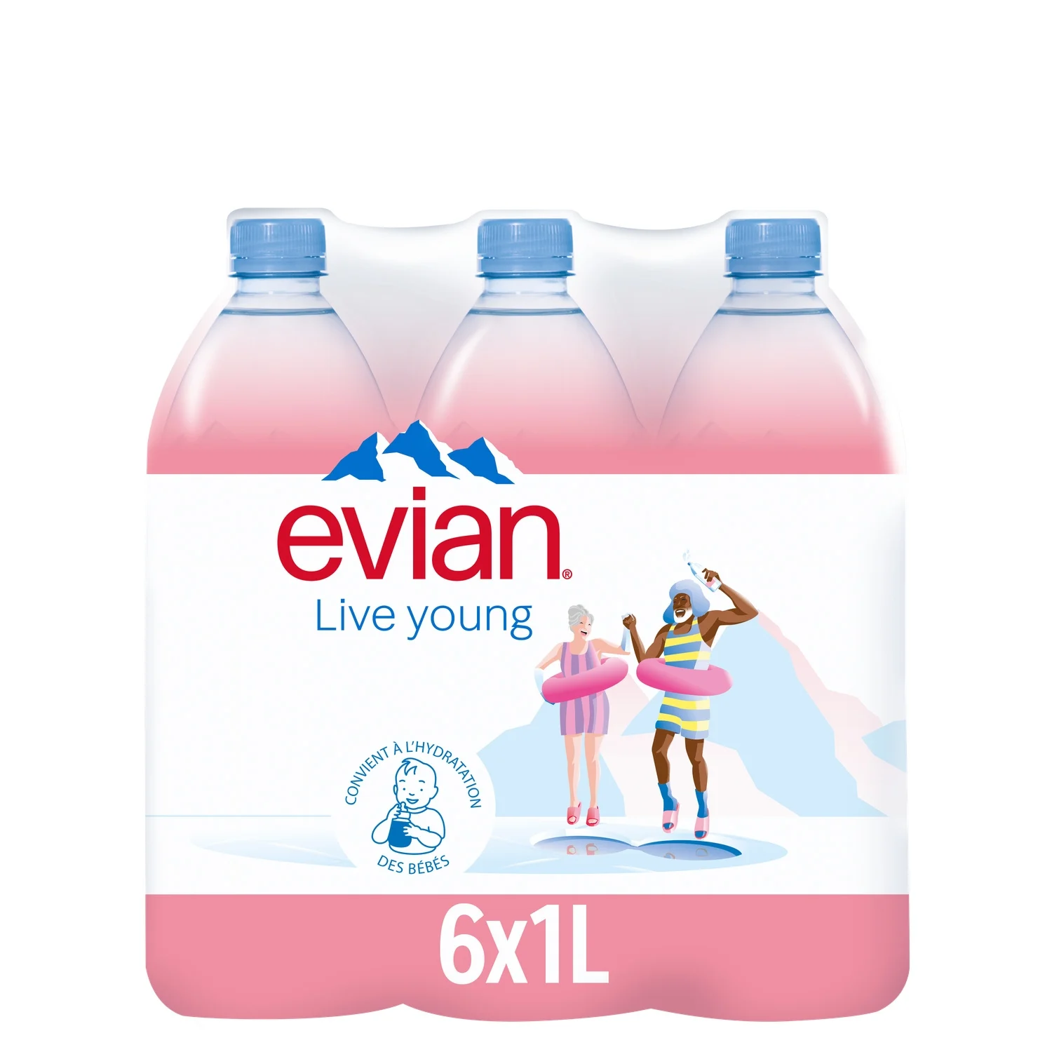 Evian 6x100cl PET