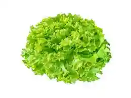 Batavia Green Salad - Unit