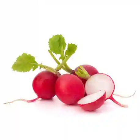 Red Radish - Boot
